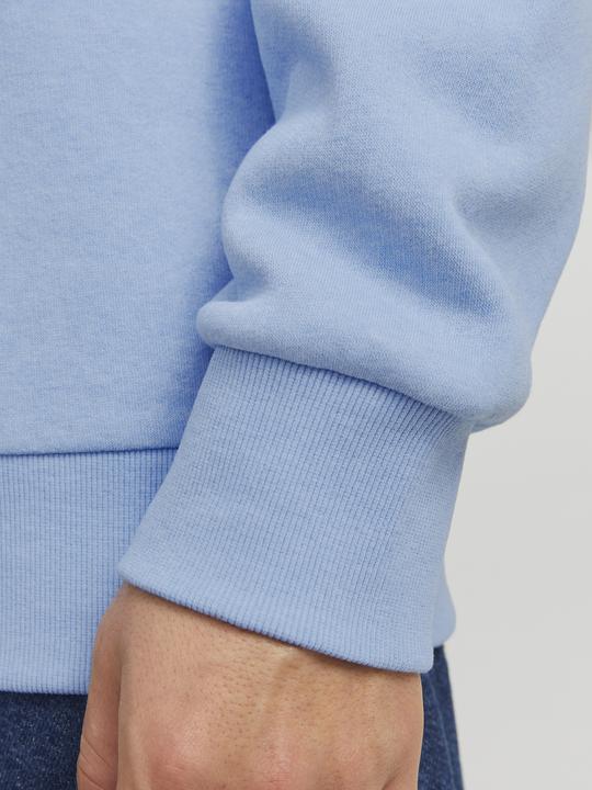 Actual product image Jack & Jones JJELOGO SWEAT HOOD 2 COL 24/25 NOOS (XS)