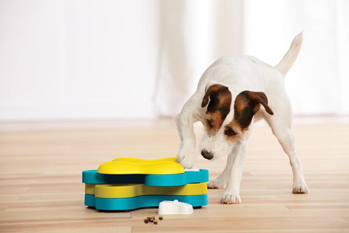 Actual product image Nina Ottosson Dog Tornado (Intelligence toy dog)