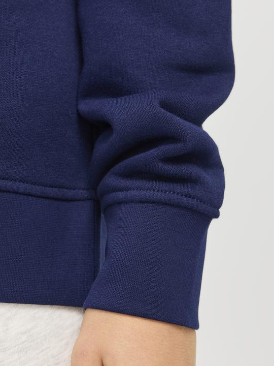 Actual product image Jack & Jones Jorvesterbro Sweat Crew Neck Noos Jnr (140)