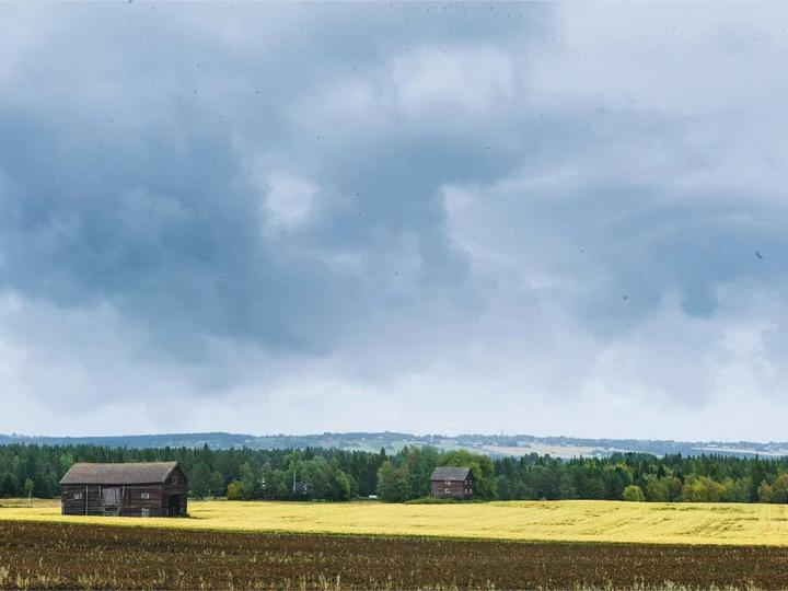 Image du produit The Nordic Baking Book (Anglais, Magnus Nilsson, 2018)