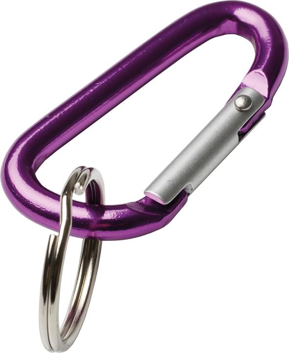 Actual product image Rieffel Key Carabiner - Ellipse