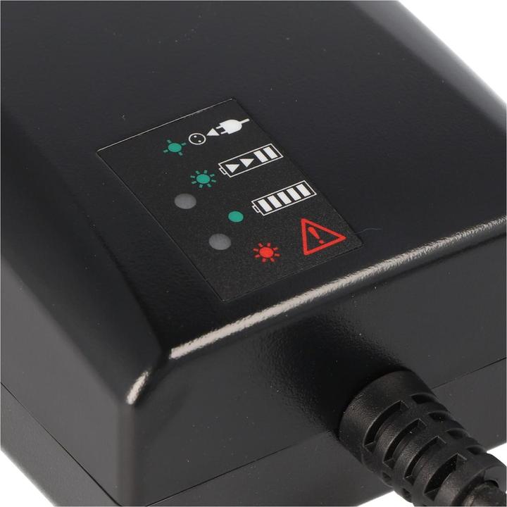 Image du produit Derby Cycle Chargeur de batterie 36V E-Bike Steckecker Rosenberger (Batterie pour vélo électrique)