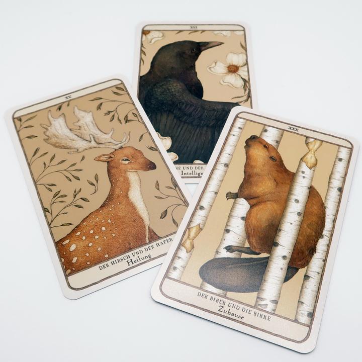 Produktbild Woodland Wardens: 52 Orakelkarten mit Booklet (Deutsch, Jessica Roux, 2023)