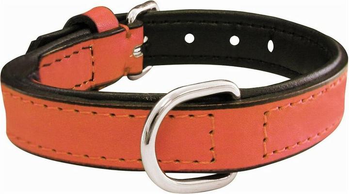 Produktbild Gloria Hundehalsband Polsterung Koralle 35 cm (35 x 1,5 cm) (35, Hund, Hundesport)