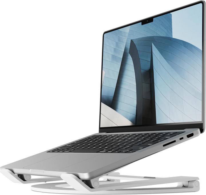 Produktbild TwelveSouth Curve Flex