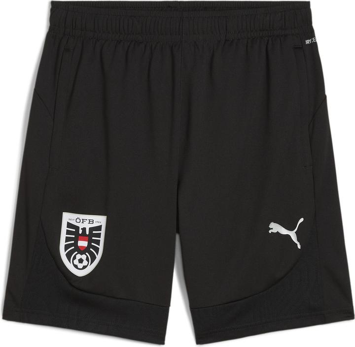 Produktbild Puma ÖFB Training Shorts (L)