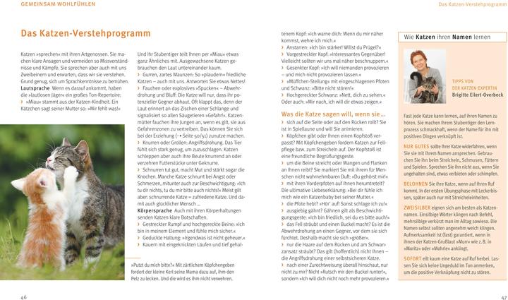 Produktbild Katzen (Deutsch, Brigitte Eilert-Overbeck, 2016)