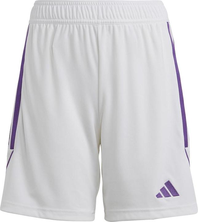 adidas Tiro 23 League Shorts (176)