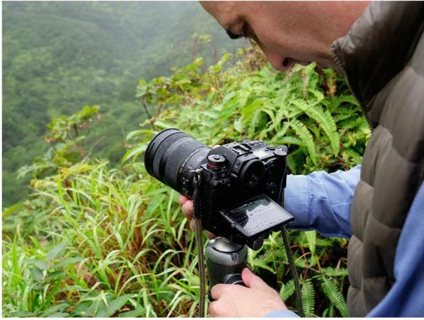 Immagine prodotto Panasonic Lumix S1 (24.20 Mpx, Full frame / FX)
