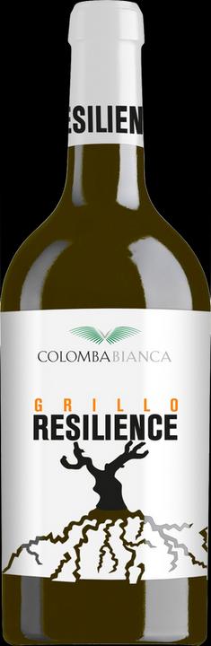 Image du produit Colomba Bianca Resilience Grillo Sicilia DOC (2023)