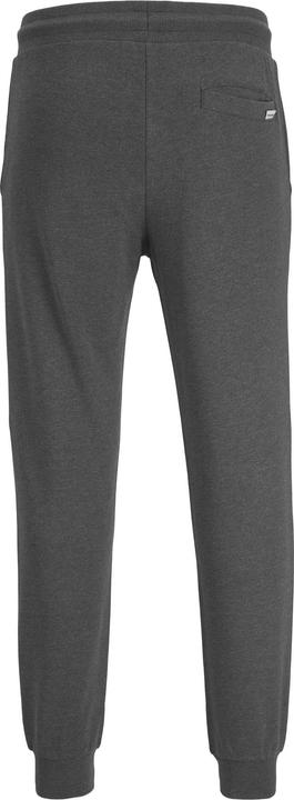 Image du produit Jack & Jones Gordon Sweathose (S)