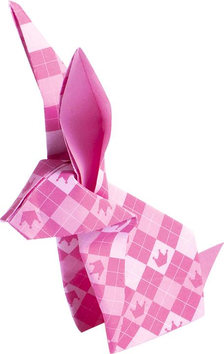 Actual product image Folia Leaflets children's fun (80 g/m², 50 x)