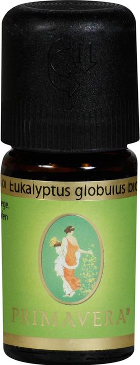 Primavera Ätherisches Öl-Duftmischung "EUKALYPTUS GLOBULUS BIO"