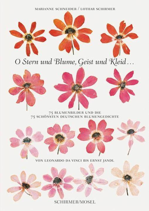 Immagine prodotto O Stern und Blume, Geist und Kleid (Tedesco, Marianne Schneider, Lothar Schirmer, 2023)