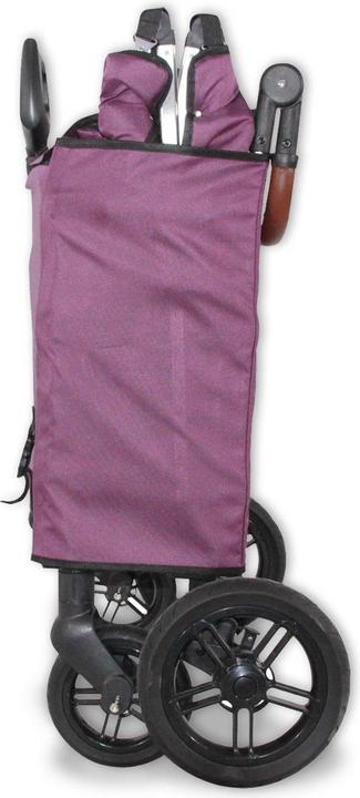 Actual product image Fuxtec 4-Sitzer XL Luxus Bollerwagen FX-CTXL900