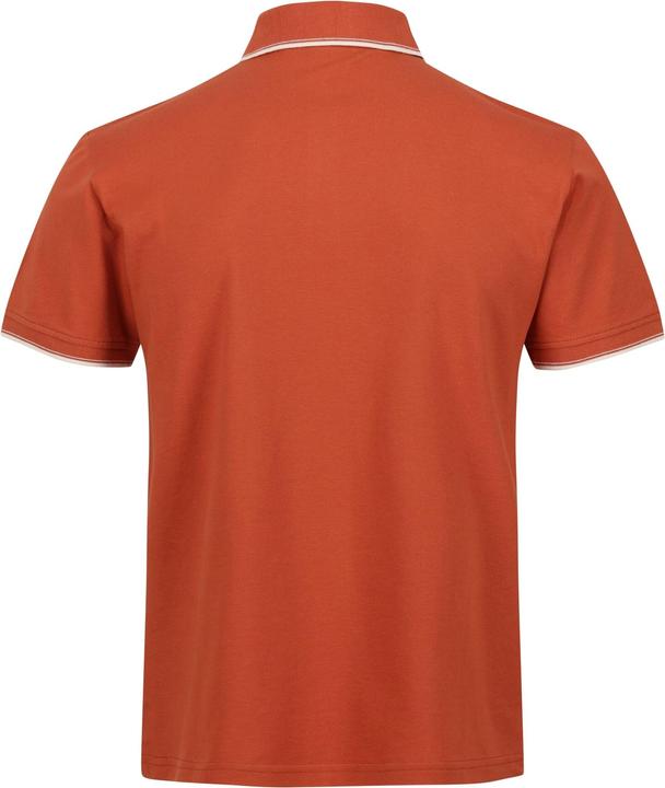 Actual product image Regatta Mens Tadeo Polo Shirt (M)