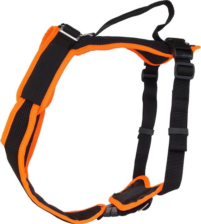 Immagine prodotto Grossenbacher Vasellame variegato XS Arancione (XS, Cane, Generale)