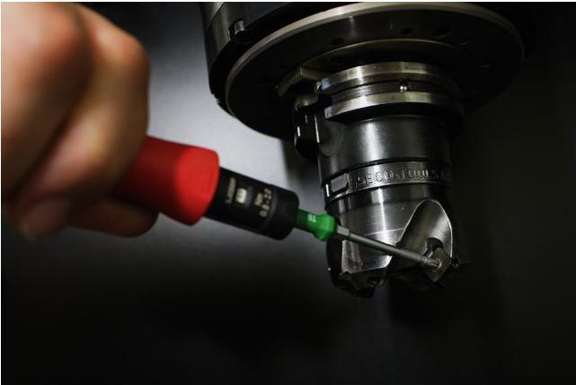 Actual product image Wiha Workshop Torque Screws (0.40 Nm, 1 Nm)