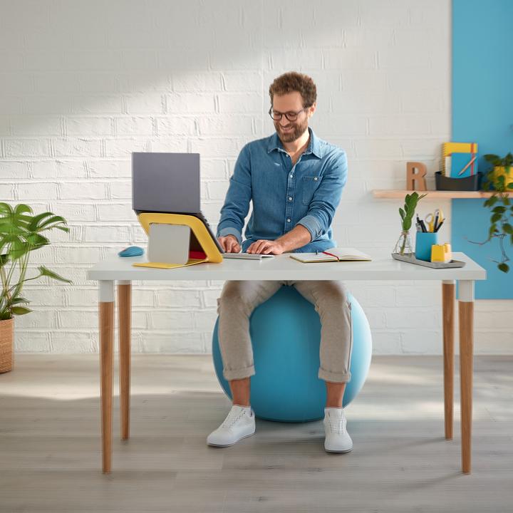 Image du produit Leitz Sitting Ball Ergo Cosy (65 cm)