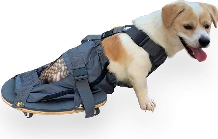 Produktbild DerYEP Hundescooter XXS (XXS, Hund, Allgemein)