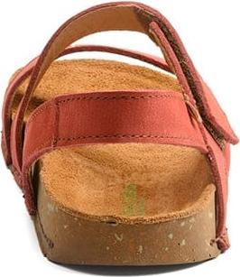 Actual product image El Naturalista 3068699 (38)