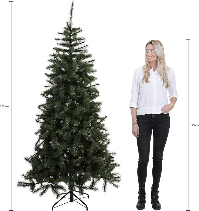 Immagine prodotto Triumph Bristlecone (215 cm)