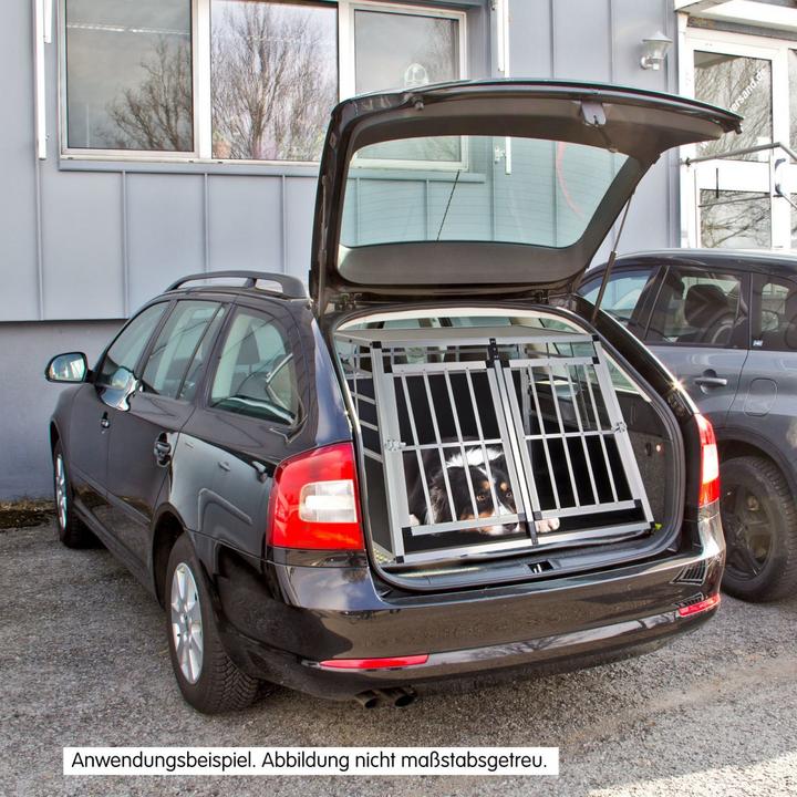 Actual product image Dema Hunde Transportbox Balu (Dog)