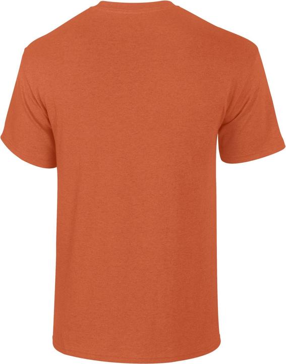 Actual product image Gildan Unisex Adult Plain Cotton Heavy T-Shirt (XL)
