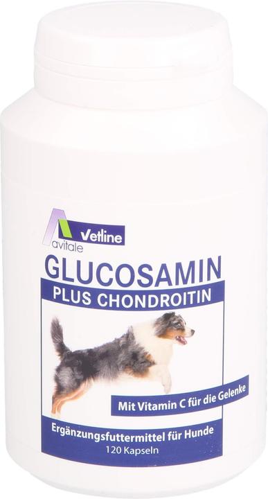 Produktbild Avitale Glucosamin+Chondroitin Kapseln für Hunde, 120 St KAP (Hund)