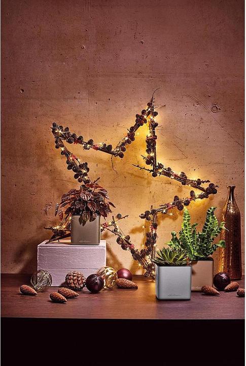 Image du produit Lechuza Pot de plante CUBE Titane brillant (14 cm)