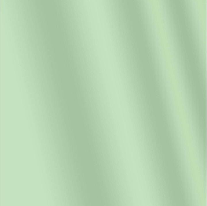 Actual product image Amsterdam Acrylic Paint Standard Series (Pearl green, 120 ml)