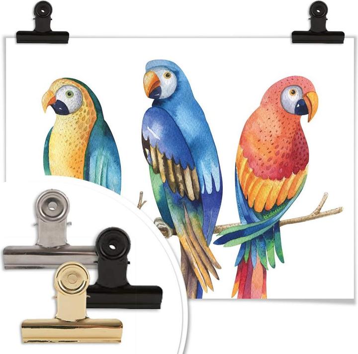 Produktbild Trenddeko Kvilis - Bunte Papageien (80 x 60 cm)