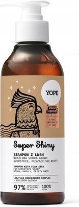 Paul Mitchell Yope Daily Heroes Super Shiny Shampoo With Flax 300ml (300 ml, Flüssiges Shampoo)