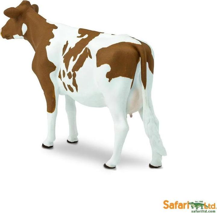 Actual product image Safari Ayrshire beef