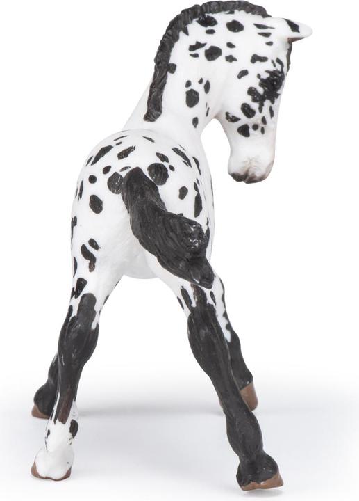 Actual product image Papo Appaloosa foal black