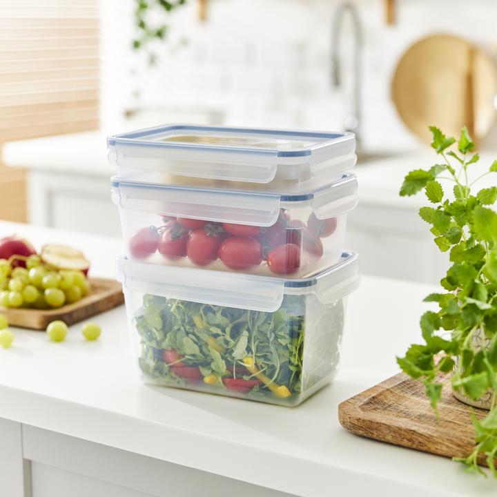 Image du produit Rotho Boîte pour réfrigérateur (1 l)