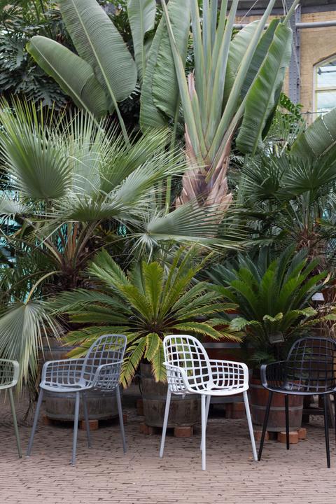 Immagine prodotto Zuiver Giardino Albert Kuip