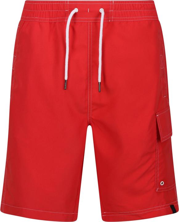 Regatta Hotham IV Kurze Hose (XL)