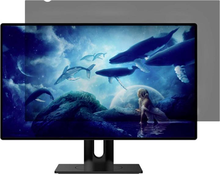 Image du produit Renkforce RF-6026098 (27", 16 : 9)