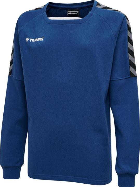 Produktbild hummel Authentic Kids Training Sweat (164)