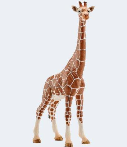 Actual product image Schleich Giraffe Cow