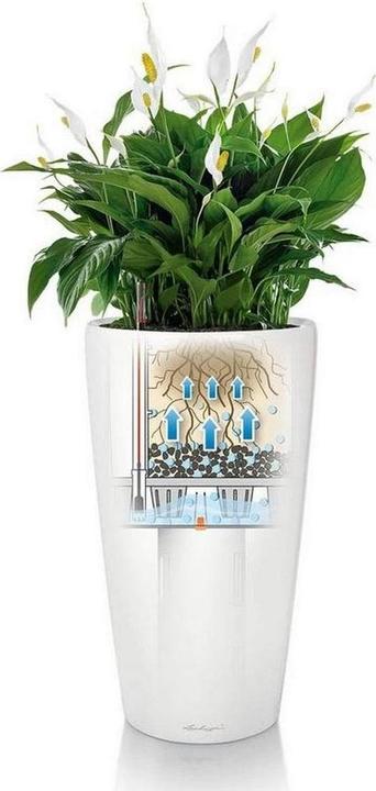 Produktbild Lechuza RONDO Premium. (40 cm)