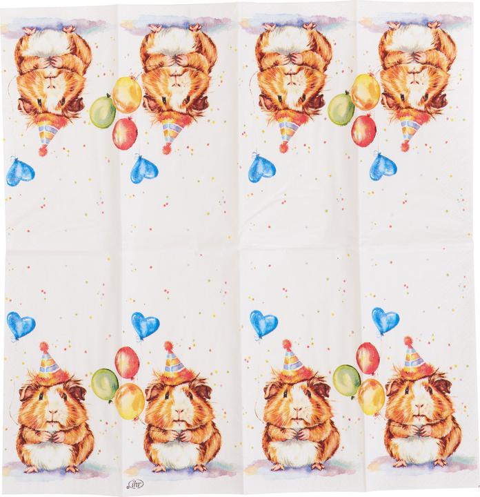 Image du produit IHR Papiertaschentücher "Kalli"