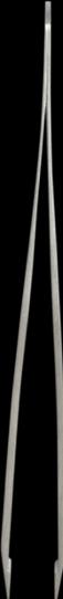 Immagine prodotto Xlash Strumenti - Pinzetta di precisione Cult Classic