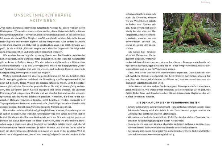 Immagine prodotto Die Welt der Naturgeister (Tedesco, Sam Hess, 2022)