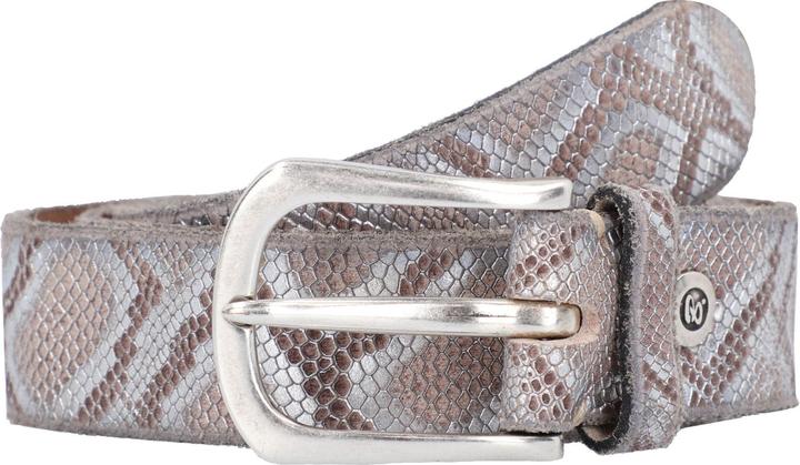 braun- metallic