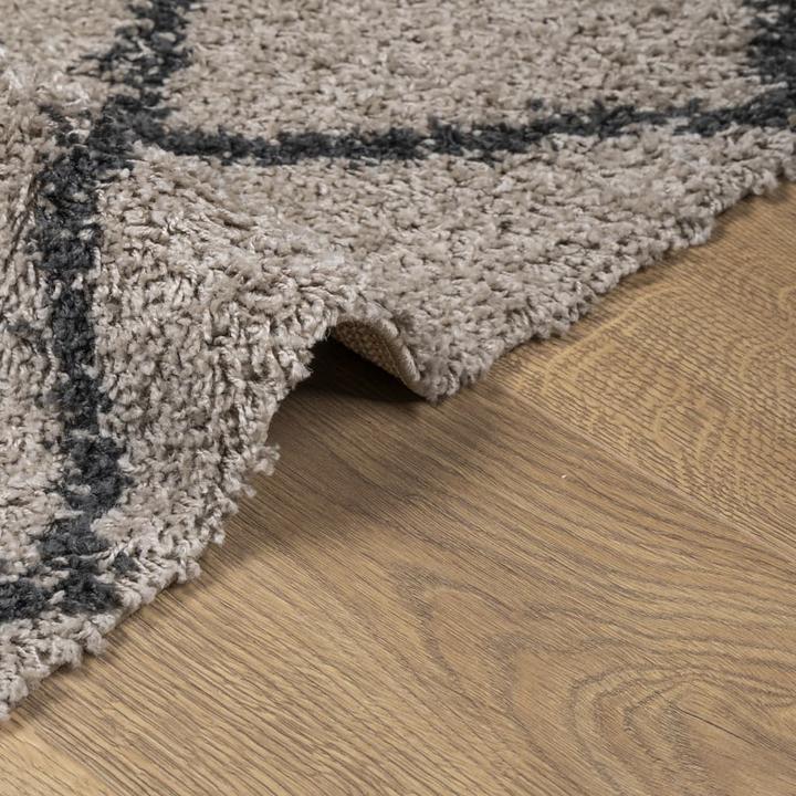 Immagine prodotto VidaXL Tappeto moderno a pelo alto Shaggy (110 x 60 cm)