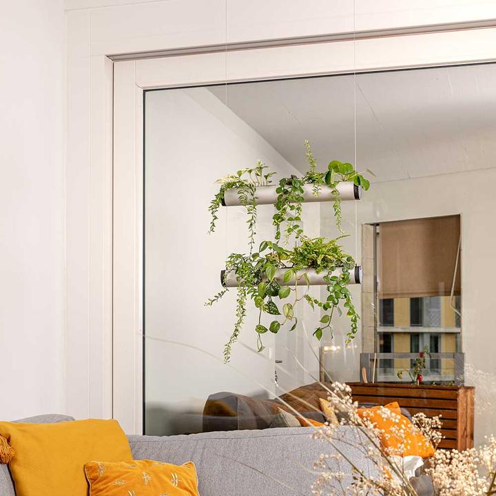 Image du produit Pendularis Set 0.5 Rapid (50 cm)