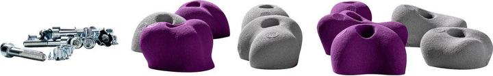 Image du produit Kletterbude Prises d'escalade pour enfants Kit complet StarterKids Sprösslinge, made in Germany (Violet-gris)
