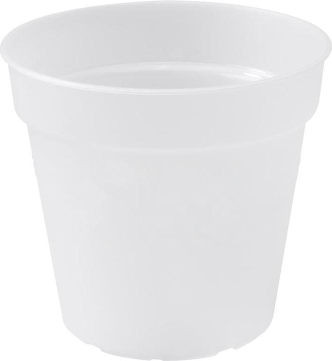 Immagine prodotto Elho Orchidea verde di base (17 cm)